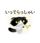 色々な猫16-4 長毛-垂れ耳-黒白（個別スタンプ：15）