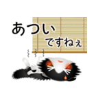 色々な猫16-4 長毛-垂れ耳-黒白（個別スタンプ：21）