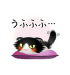 色々な猫16-4 長毛-垂れ耳-黒白（個別スタンプ：25）