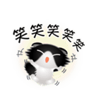 色々な猫16-4 長毛-垂れ耳-黒白（個別スタンプ：26）