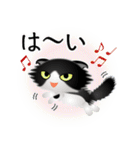 色々な猫16-4 長毛-垂れ耳-黒白（個別スタンプ：29）