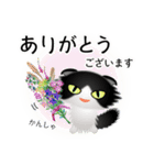 色々な猫16-4 長毛-垂れ耳-黒白（個別スタンプ：31）