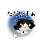 色々な猫16-4 長毛-垂れ耳-黒白（個別スタンプ：38）