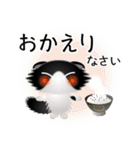 色々な猫16-4 長毛-垂れ耳-黒白（個別スタンプ：39）