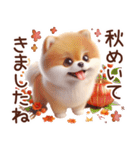 3D ポメラニアンの秋（個別スタンプ：1）