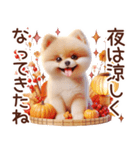 3D ポメラニアンの秋（個別スタンプ：2）