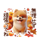 3D ポメラニアンの秋（個別スタンプ：4）