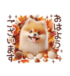 3D ポメラニアンの秋（個別スタンプ：5）