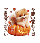 3D ポメラニアンの秋（個別スタンプ：10）