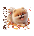 3D ポメラニアンの秋（個別スタンプ：22）