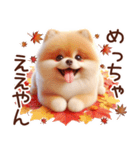 3D ポメラニアンの秋（個別スタンプ：27）