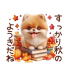 3D ポメラニアンの秋（個別スタンプ：30）