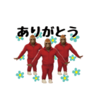 THEゴリラ（個別スタンプ：3）
