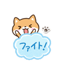 まめシバ☆吹き出し（個別スタンプ：23）