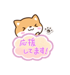 まめシバ☆吹き出し（個別スタンプ：24）