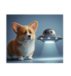 コーギーとUFO（個別スタンプ：3）