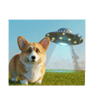 コーギーとUFO（個別スタンプ：4）