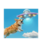 コーギーとUFO（個別スタンプ：5）