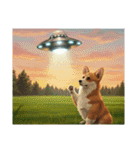 コーギーとUFO（個別スタンプ：6）