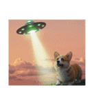コーギーとUFO（個別スタンプ：11）