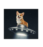 コーギーとUFO（個別スタンプ：15）