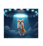 コーギーとUFO（個別スタンプ：17）