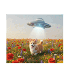 コーギーとUFO（個別スタンプ：20）