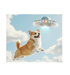 コーギーとUFO（個別スタンプ：26）