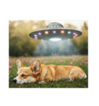 コーギーとUFO（個別スタンプ：28）