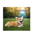コーギーとUFO（個別スタンプ：29）