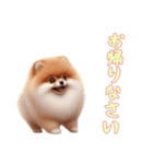 [お帰りなさい専用]ポメラニアン（個別スタンプ：2）