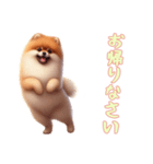 [お帰りなさい専用]ポメラニアン（個別スタンプ：7）