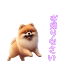 [お帰りなさい専用]ポメラニアン（個別スタンプ：12）