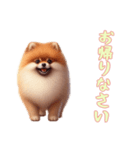 [お帰りなさい専用]ポメラニアン（個別スタンプ：16）