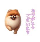 [ありがとうございます専用]ポメラニアン（個別スタンプ：5）