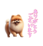 [ありがとうございます専用]ポメラニアン（個別スタンプ：7）