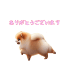 [ありがとうございます専用]ポメラニアン（個別スタンプ：8）