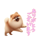 [ありがとうございます専用]ポメラニアン（個別スタンプ：9）