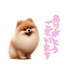 [ありがとうございます専用]ポメラニアン（個別スタンプ：10）