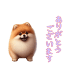 [ありがとうございます専用]ポメラニアン（個別スタンプ：11）