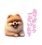 [ありがとうございます専用]ポメラニアン（個別スタンプ：15）