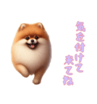 [気を付けて来てね専用]ポメラニアン（個別スタンプ：3）