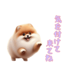 [気を付けて来てね専用]ポメラニアン（個別スタンプ：4）