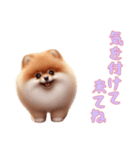 [気を付けて来てね専用]ポメラニアン（個別スタンプ：5）