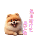 [気を付けて来てね専用]ポメラニアン（個別スタンプ：8）