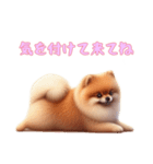 [気を付けて来てね専用]ポメラニアン（個別スタンプ：10）