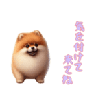 [気を付けて来てね専用]ポメラニアン（個別スタンプ：13）