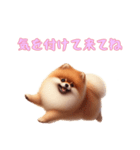 [気を付けて来てね専用]ポメラニアン（個別スタンプ：16）