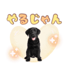 黒ラブ子犬のまいにちスタンプ（個別スタンプ：11）