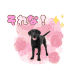 黒ラブ子犬のまいにちスタンプ（個別スタンプ：32）